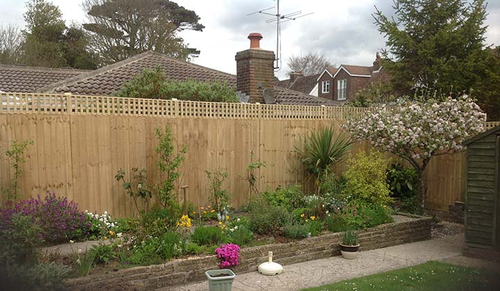 Garden Fencing Feather Edge Panels with Trellis