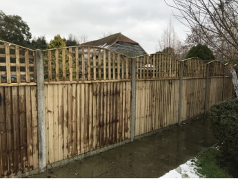 Feather Edge Fencing Panels